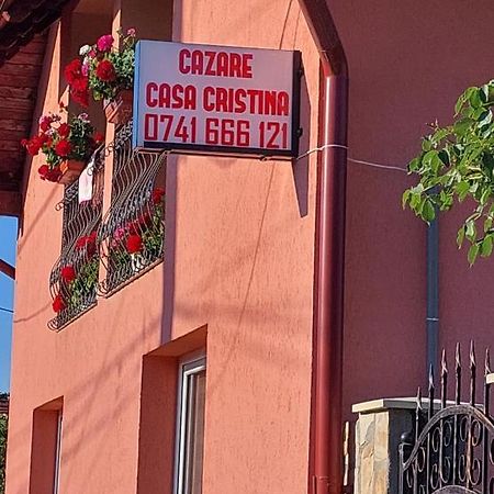 Casa Cristina Hotel Cartisoara Exterior photo