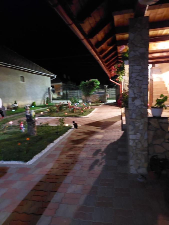 Casa Cristina Hotel Cartisoara Exterior photo