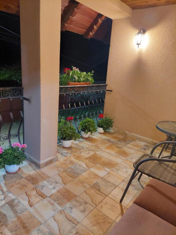 Casa Cristina Hotel Cartisoara Exterior photo