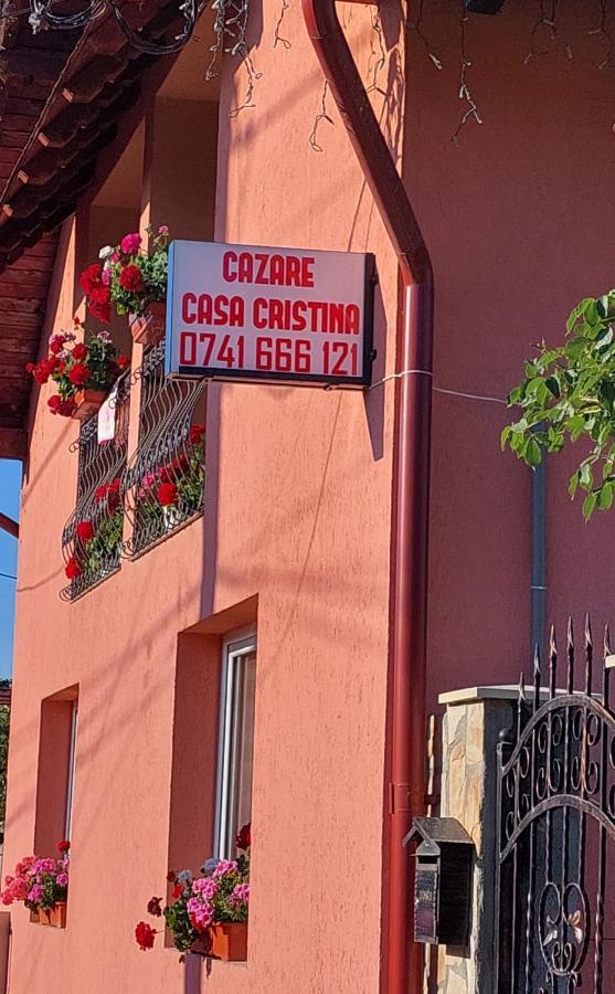 Casa Cristina Hotel Cartisoara Exterior photo