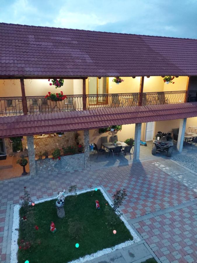 Casa Cristina Hotel Cartisoara Exterior photo