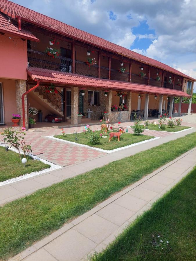 Casa Cristina Hotel Cartisoara Exterior photo