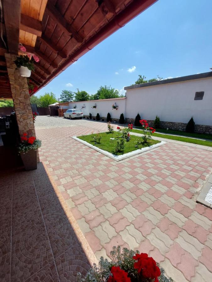 Casa Cristina Hotel Cartisoara Exterior photo