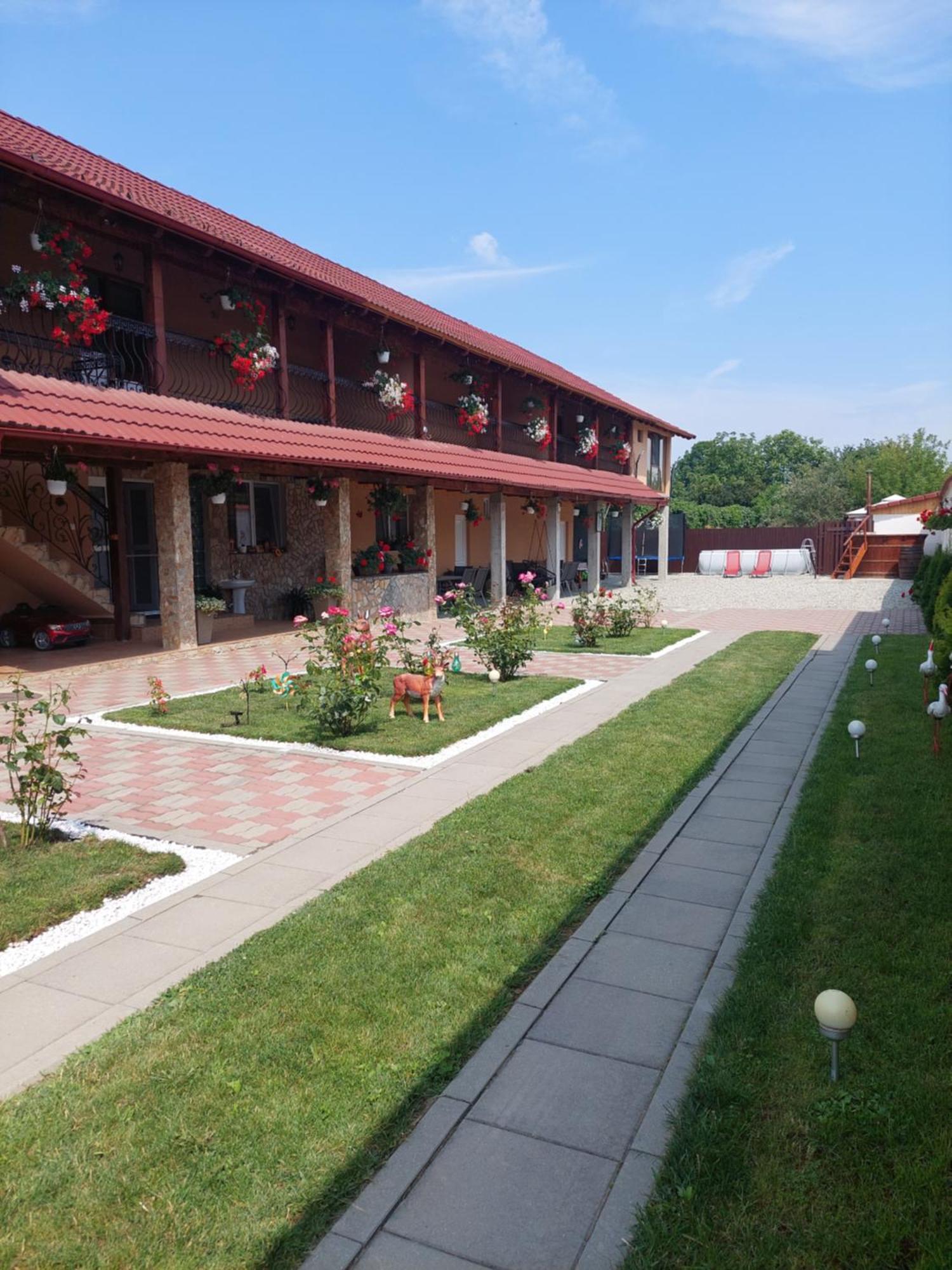 Casa Cristina Hotel Cartisoara Exterior photo