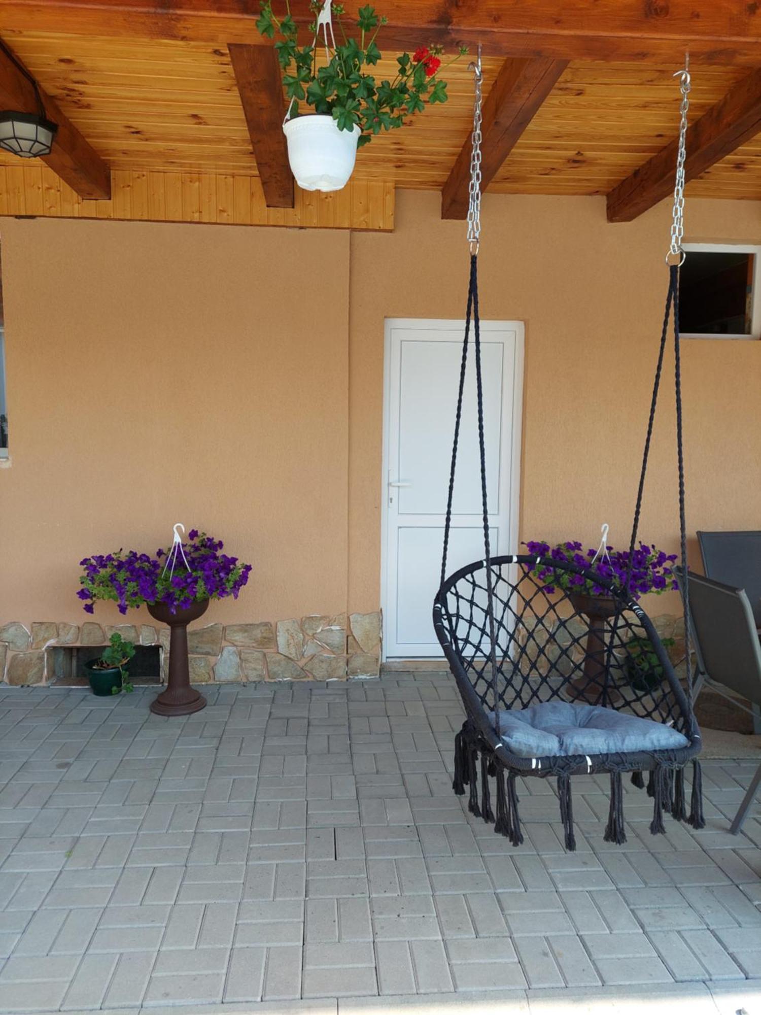 Casa Cristina Hotel Cartisoara Exterior photo